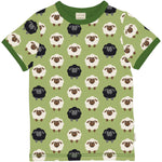 Maxomorra Sheep Green Top Shortsleeve