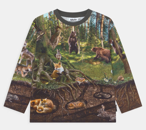 Molo Mountoo Forest Living Sweatshirt